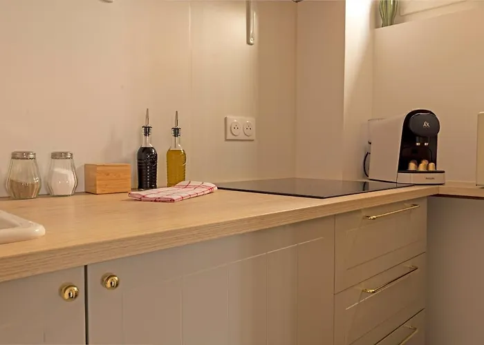 Le Nid Hyper-centre - Stadium - Parking&wifi Apartment *