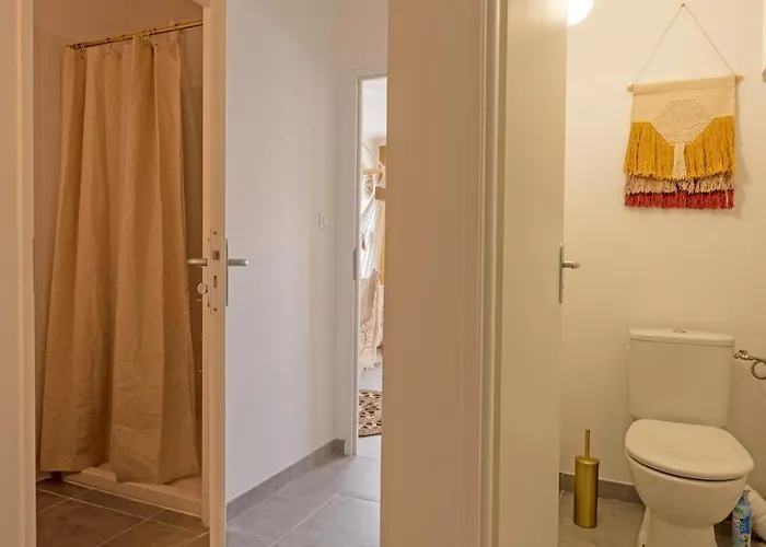 Le Nid Hyper-centre - Stadium - Parking & Wifi 公寓